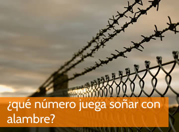 que numero juega soñar con alambre