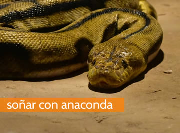 soñar con anaconda