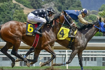 Qué significa soñar con apuestas de caballos