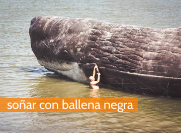 Soñar con ballena negra