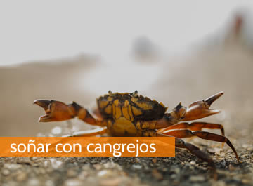 soñar con cangrejos