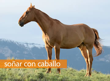 Soñar con caballo