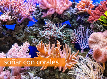 Soñar con corales