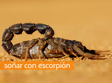 Soñar con escorpion