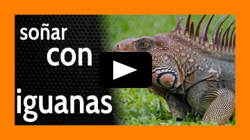 soñar con iguanas