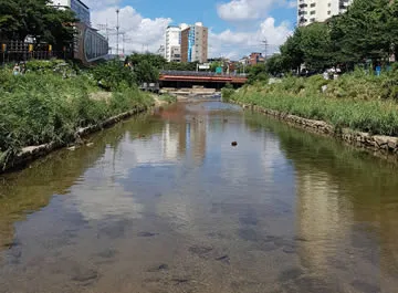 Soñar con inundación de agua sucia