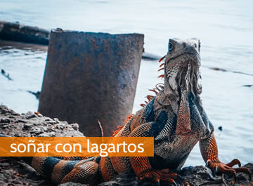 soñar con lagartos