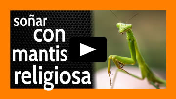 soñar con mantis religiosa