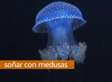 soñar con medusas