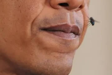 Qué significa soñar con moscas en la cara
