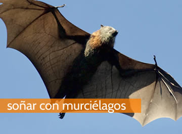 Soñar con murcielagos