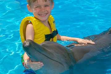 Qué significa soñar con nadar con delfines