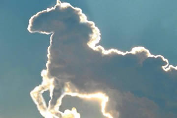 Qué significa soñar con nubes en forma de animales