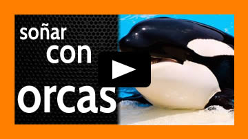 soñar con orcas