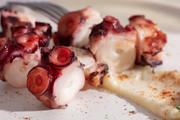pulpo cocido