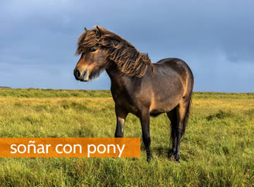 Soñar con pony