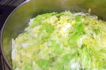 cocinar repollo