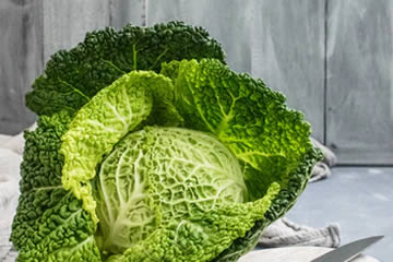 repollo verde