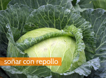 Soñar con repollo