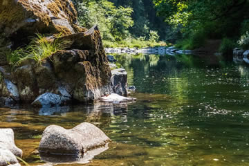 soñar un rio con mucha agua limpia