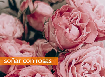 Soñar con rosas