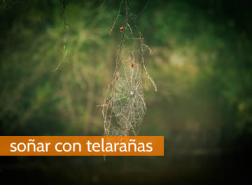 soñar con telarañas