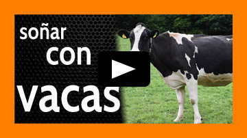 soñar con vacas