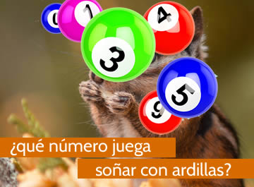 que numero juega soñar con ardillas