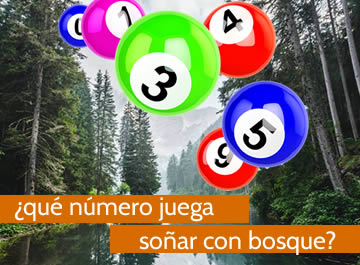 que numero juega soñar con bosque