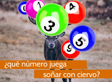 que numero juega soñar con ciervo