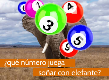 que numero juega soñar con elefantes