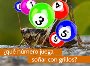 que numero juega soñar con grillos