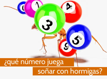 que numero juega soñar con hormigas