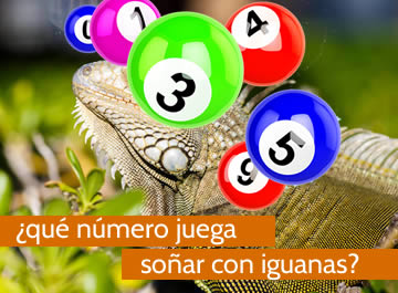 que numero juega soñar con iguanas