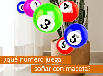 que numero juega soñar con maceta