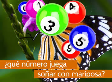 que numero juega soñar con mariposa