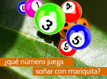 que numero juega soñar con mariquitas