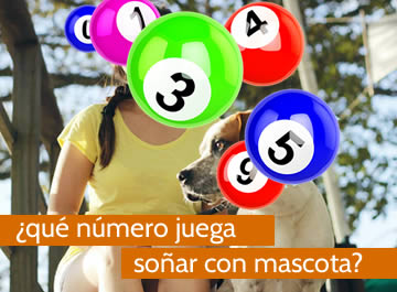 que numero juega soñar con mascota