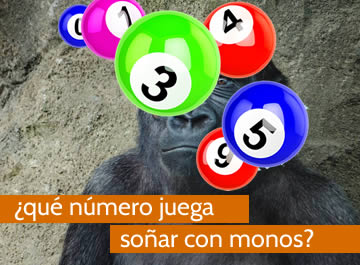 que numero juega soñar con monos