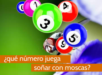 que numero juega soñar con moscas