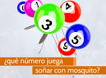 que numero juega soñar con mosquito