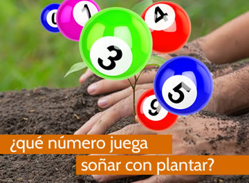 que numero juega soñar con plantar