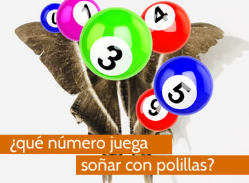 que numero juega soñar con polilla