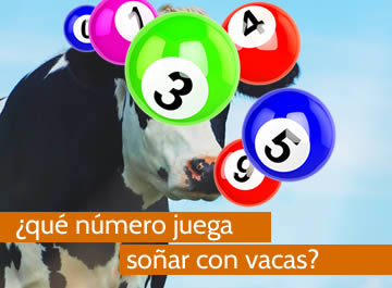 que numero juega soñar con vacas